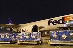 鶼˹(lin)f-鶼˹(lin)f-ַ-Ԓ(hu)-FedEx-(gu)Hf